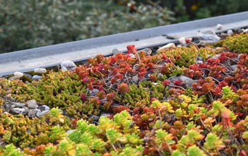 the cost of Anancaun green roof installation