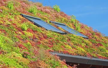 Anancaun living roof systems