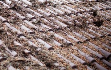 Anancaun roof cleaning companies