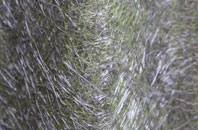 Anancaun fibreglass roof work